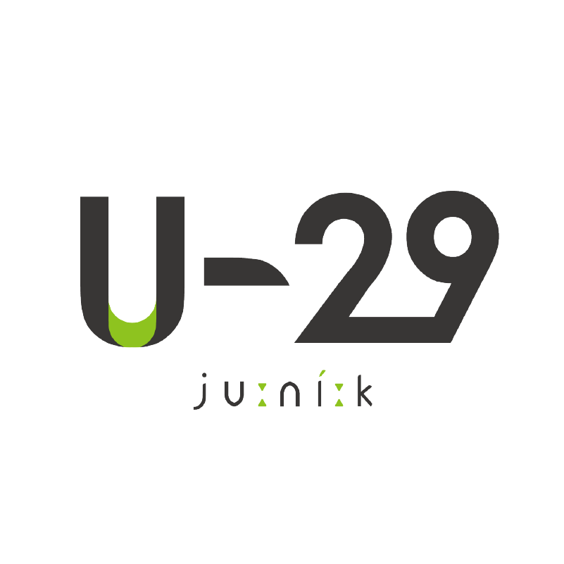 U-29